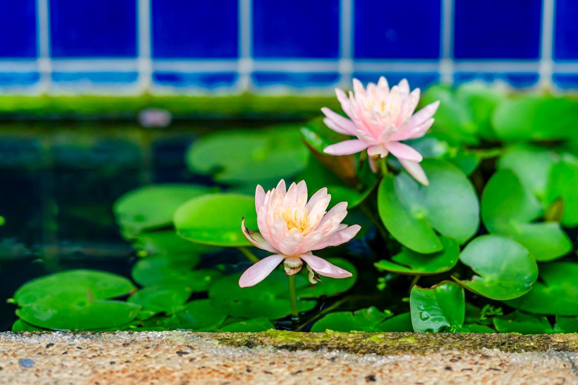 Pacific Inn เขิ่นติง ภายนอก รูปภาพ